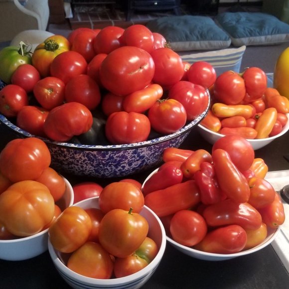 Meet your Posher, Lorie - Picture 4 of 12